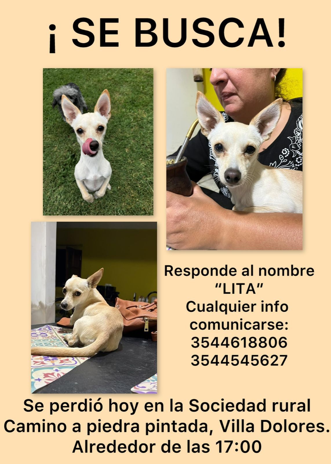 Imagen